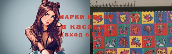 индика Верхний Тагил