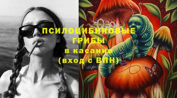 крисы Белоозёрский