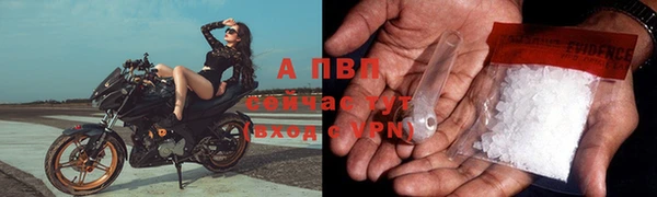 индика Верхний Тагил