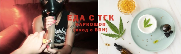 индика Верхний Тагил