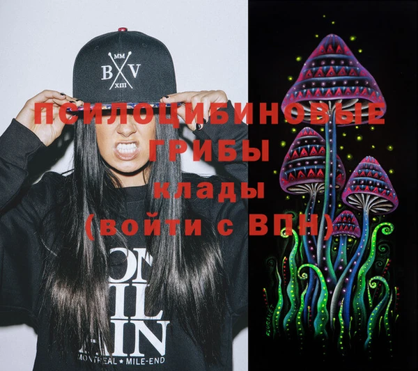 PSILOCYBIN Верхнеуральск