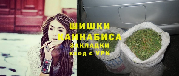 индика Верхний Тагил